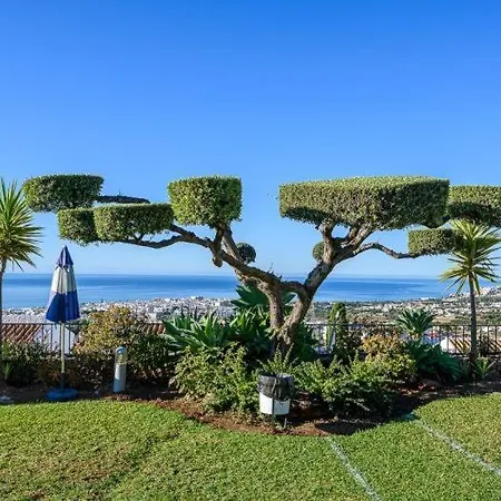 Mandarinos San Juan * Nerja